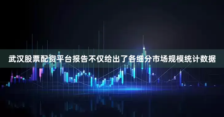武汉股票配资平台报告不仅给出了各细分市场规模统计数据