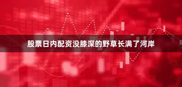 股票日内配资没膝深的野草长满了河岸
