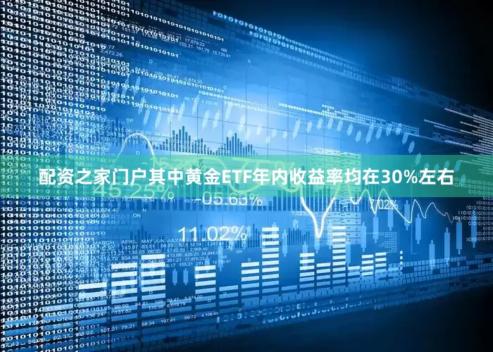 配资之家门户其中黄金ETF年内收益率均在30%左右