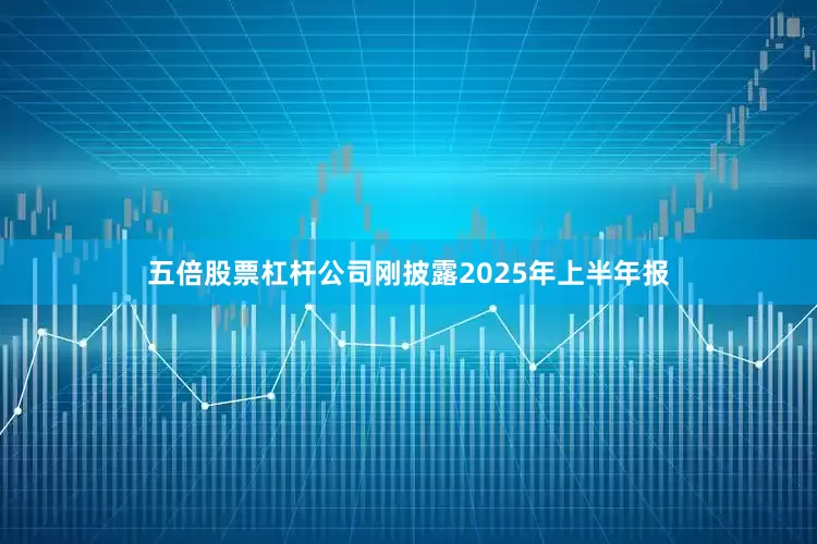五倍股票杠杆公司刚披露2025年上半年报