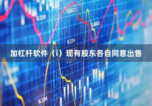 加杠杆软件（i）现有股东各自同意出售