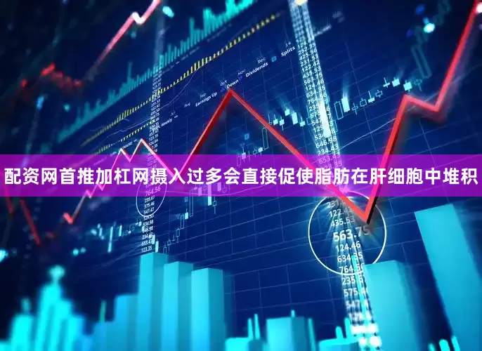 配资网首推加杠网摄入过多会直接促使脂肪在肝细胞中堆积