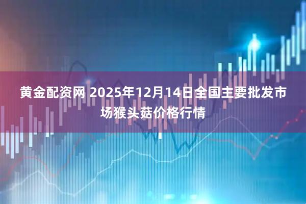黄金配资网 2025年12月14日全国主要批发市场猴头菇价格行情