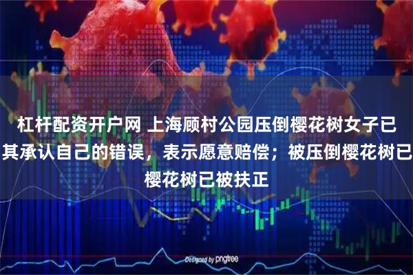 杠杆配资开户网 上海顾村公园压倒樱花树女子已找到，其承认自己的错误，表示愿意赔偿；被压倒樱花树已被扶正