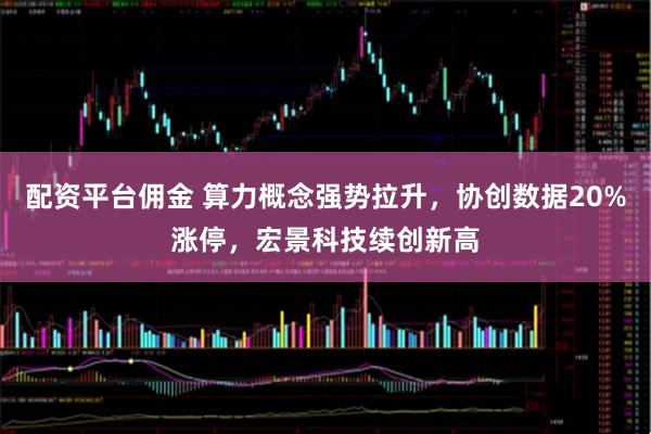 配资平台佣金 算力概念强势拉升，协创数据20%涨停，宏景科技续创新高